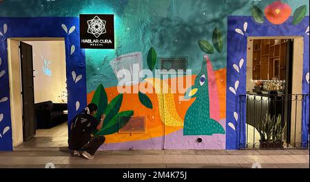 Oaxaca, Oaxaca, USA. 6.. Dezember 2022. Ein Wandmaler arbeitet bis spät in den Abend hinein und malt die Außenseite des „Tasting Room“ von Hablar Aura Mezcal in Oaxaca, Mexiko, Dienstag, den 6. Dezember 2022 (Kreditbild: © Mark Hertzberg/ZUMA Press Wire) Stockfoto