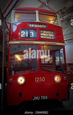 Manchester 1250 - 1951 Crossley Dominion Trolley Bus Reg JVU755, TDD64 zur Universität über GT Ancoats St, Ardwick Green & Brunswick St Stockfoto