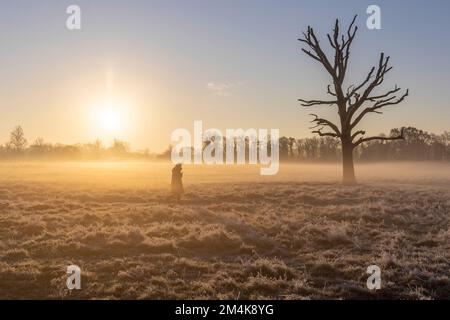 Bushy Park ist heute Morgen von Frost bedeckt. Aufnahme am 10. Dezember 2022. © Belinda Jiao jiao.bilin@gmail.com 07598931257 https://www.belindajia Stockfoto