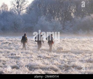 Bushy Park ist heute Morgen von Frost bedeckt. Die Leute gehen mit ihrem Hund bei kaltem Wetter spazieren. Aufnahme am 10. Dezember 2022. © Belinda Jiao jiao.bilin@ Stockfoto