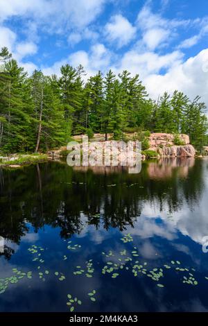 Cranberry Bog, Killarney Provincial Park, Ontario, Kanada Stockfoto