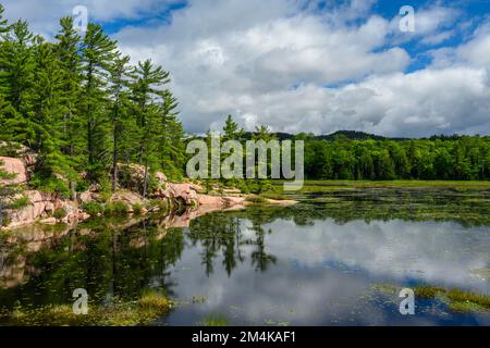 Cranberry Bog, Killarney Provincial Park, Ontario, Kanada Stockfoto