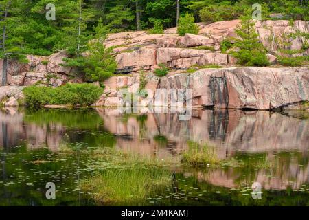 Cranberry Bog mit Reflexionen aus Granit, Killarney Provincial Park, Ontario, Kanada Stockfoto