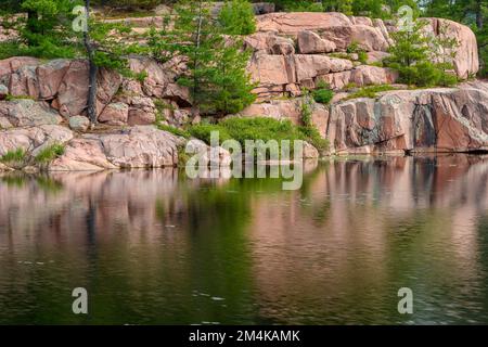 Cranberry Bog, Killarney Provincial Park, Ontario, Kanada Stockfoto