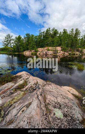 Cranberry Bog mit Reflexionen aus Granit, Killarney Provincial Park, Ontario, Kanada Stockfoto