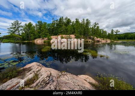 Cranberry Bog mit Reflexionen aus Granit, Killarney Provincial Park, Ontario, Kanada Stockfoto