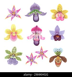 Vektorsammlung bunter psychedelischer Orchideenblüten. Handgezeichnete Designelemente isoliert auf weißem Hintergrund. Orchideendarstellung. Stock Vektor