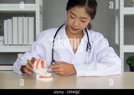 Junger asiatischer Zahnarzt in weißem Kittel und Stethoskop, der mit dem Finger auf ein Zahnmodell auf einem Holztisch zeigt. Gesundheits- und Medizinkonzept. Stockfoto