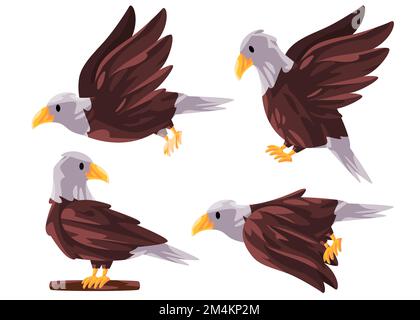 Hawk Raptor Predator Bird Pose Fliegenstand mit weißem Kopf braune Federfarben Grafik Stock Vektor