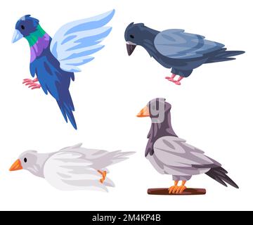 Taubentauben-Vektorbildungs-Set Pose im fliegenden Stehen Stock Vektor
