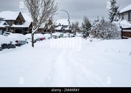 Schneebedeckte Stadtstraße bei starkem Schneefall. Viel Schnee auf dem Bürgersteig, Autos und Ästen. Winterstadt kaltes Schneewetter. Wohngebiet i Stockfoto