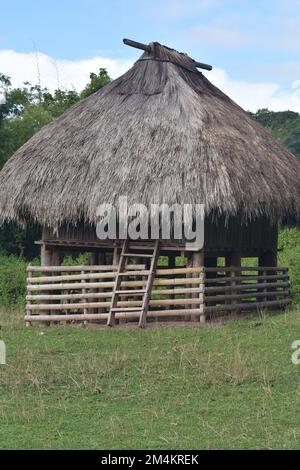 Osttimor, Bild des traditionellen Hauses in Osttimor. Hervorragende lokale Architektur und traditionelle Dekoration. Stockfoto