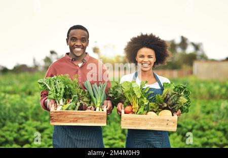 Das nachhaltige Leben ist das Leben für uns. Gekürztes Porträt eines jungen Bauernpaares, das Kisten mit frischem Obst und Gemüse transportiert. Stockfoto