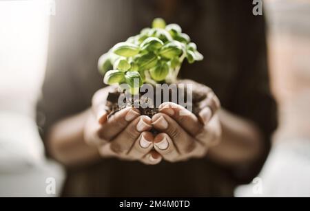 Die einfachen Dinge auf dieser Welt machen einen großen Unterschied. Eine Frau, die eine Pflanze hält, die aus dem Boden wächst. Stockfoto