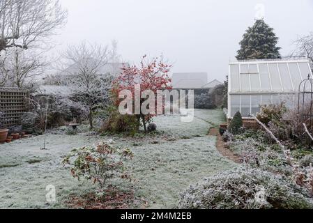 Frostbedeckter Garten mit Krabben, Apfelbaum und Gewächshaus Stockfoto