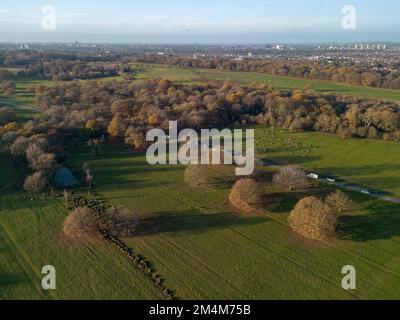 Hirsche aus der Vogelperspektive in Richmond Park, London, Großbritannien. Stockfoto