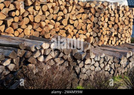 Ein Holzhaufen gehacktes Hartholz. Ein großer Haufen Buchenholz-Stämme. Brennholz. Stockfoto