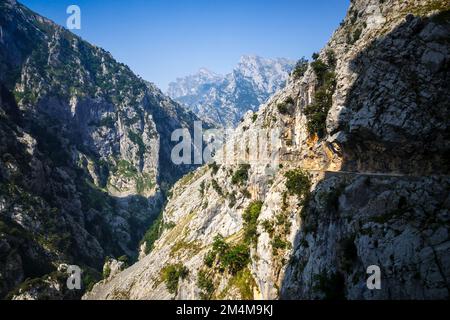 Cares Trail - ruta del Cares - im Canyon Picos de Europa, Asturien, Spanien Stockfoto