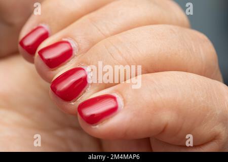 Damennägel mit hellrotem Nagellack, in dem Nachwachsen zu sehen ist, Konzept der Notwendigkeit einer neuen Maniküre Stockfoto