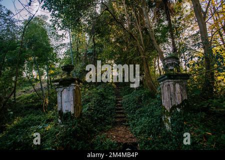 Alte überwucherte Treppen in einem verlassenen Park. Stockfoto