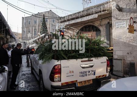 Jerusalem, Israel. 22. Dezember 2022. Die Stadt Jerusalem und der Juwish National Fund verteilen speziell angebaute Arizona Cypress Weihnachtsbäume an die christliche Bevölkerung am New Gate der Altstadt. Kredit: Nir Alon/Alamy Live News Stockfoto