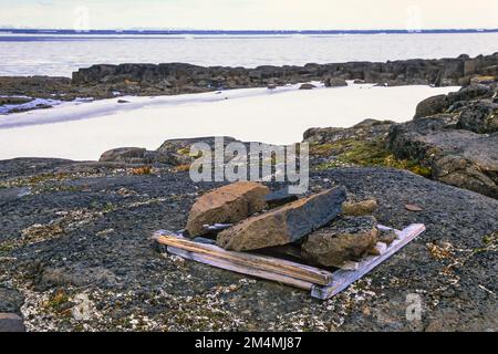 Die Todesfallfalle in der arktischen Landschaft Stockfoto