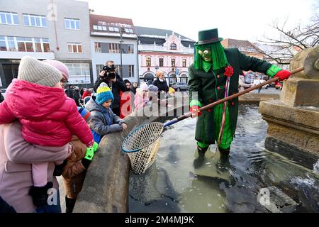 Uhersky Brod, Tschechische Republik. 22. Dezember 2022. Weihnachtskarpfen aus dem historischen barocken Brunnen am Masaryk Square in Uherske Brod, 22. Dezember 2022, Uherske Hradiste, Tschechische Republik. Kredit: Dalibor Gluck/CTK Photo/Alamy Live News Stockfoto