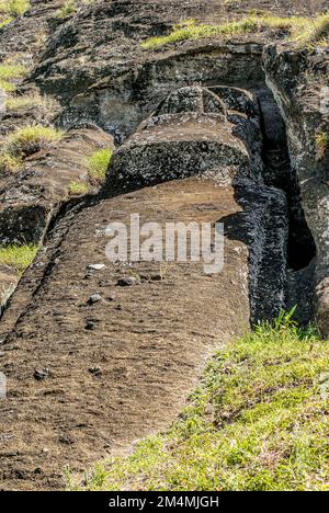 Ein unvollständiger Moai in einem Steinbruch an den Hängen von Rano Raraku auf der Osterinsel Chile. Stockfoto