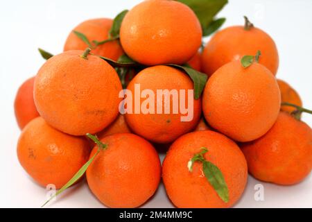 Mandarinenorange (Citrus reticulata), auch Mandarin oder Mandarine genannt, eine kleine Zitrusfrucht. Als gesonderte Orangenart behandelt, Stockfoto