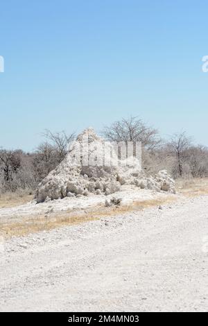 Großer weißer Termitenhügel, Etosha-Nationalpark, Namibia, Südwestafrika Stockfoto