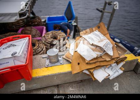 Recyceln von Pappe nach einem Angelausflug auf einem Boot in australien Stockfoto