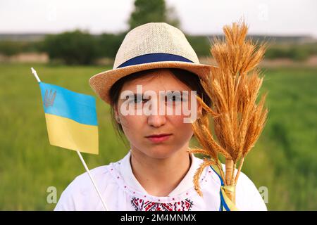 Unschärfe-Bild einer jungen ukrainischen Frau. Ein Strauß reifer goldener Stacheln Weizen, das auf dem Wiesenlandschaftsgrund gebunden ist. Flagge Ukraine. Traurige ukrainische gi Stockfoto