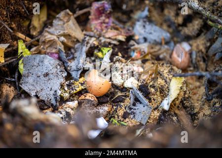 In Amerika und Australien wird ein thermophiler Kompostierstapel aus Erdnahrung gewendet. Im Frühling Stockfoto