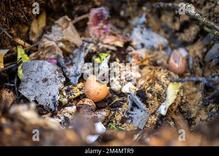 In Amerika und Australien wird ein thermophiler Kompostierstapel aus Erdnahrung gewendet. Im Frühling Stockfoto