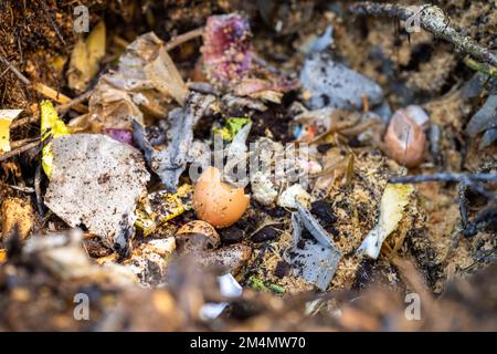 In Amerika und Australien wird ein thermophiler Kompostierstapel aus Erdnahrung gewendet. Im Frühling Stockfoto