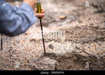 Suche nach Edelsteinen und Goldwaschen im australischen Busch im Frühjahr Stockfoto