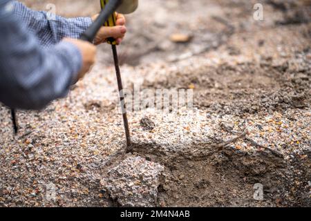 Suche nach Edelsteinen und Goldwaschen im australischen Busch im Frühjahr Stockfoto