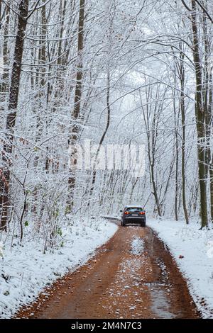 Ein Auto fährt die Straße entlang in einem Wald mit schneebedeckten Bäumen Stockfoto
