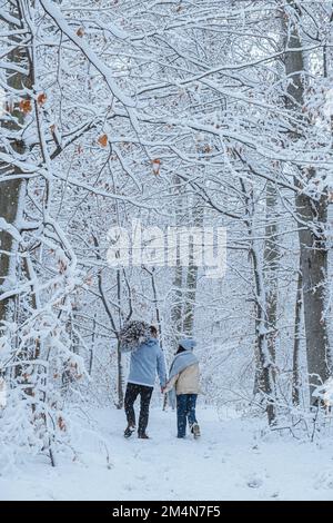 Auf der Schulter des Mannes wird ein schneebedeckter Weihnachtsbaum gehalten. Das Paar läuft im Winter durch den Wald Stockfoto
