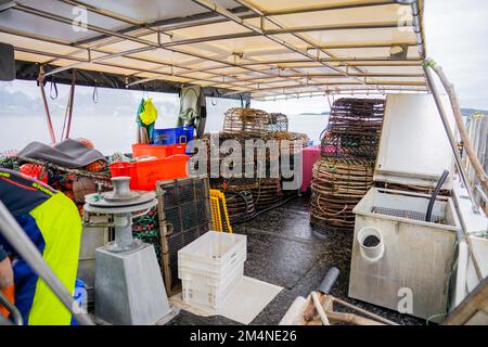 Fischerboot Cockpit auf einem Hummer Fischen in australien Stockfoto