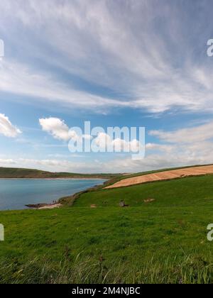 Der Himmel mit Zirruswolken über den Feldern. Wunderschöne Landschaft. Die Natur des Südirlands. Auf dem Land an einem schönen Tag. Stockfoto