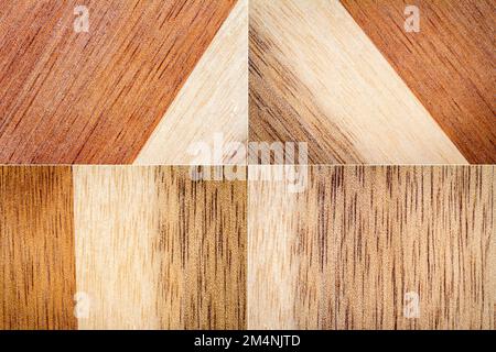 Sammlung von hellen Holztexturhintergründen mit alten natürlichen Mustern. Details der Holztexturen. Alte Holzbretter. Stockfoto