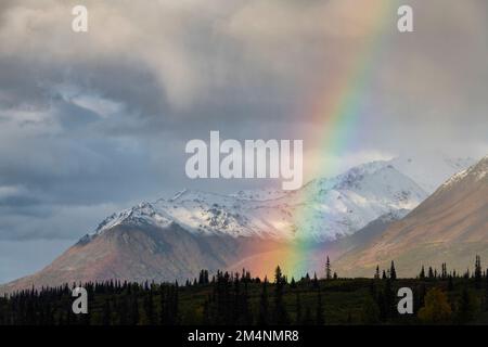 Herbstfarben, Tundr-Taiga, Alaskas Stockfoto