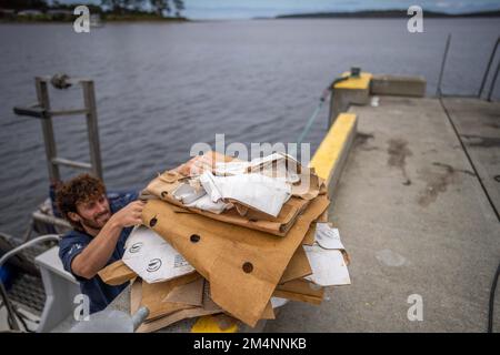 Recyceln von Pappe nach einem Angelausflug auf einem Boot in australien Stockfoto