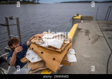 Recyceln von Pappe nach einem Angelausflug auf einem Boot in australien Stockfoto