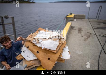 Recyceln von Pappe nach einem Angelausflug auf einem Boot in australien Stockfoto