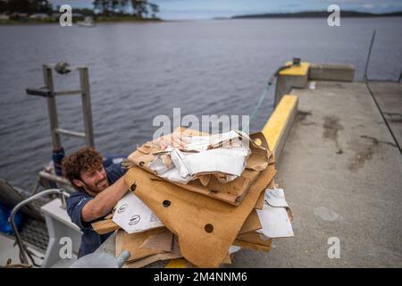 Recyceln von Pappe nach einem Angelausflug auf einem Boot in australien Stockfoto