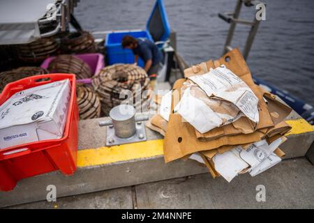 Recyceln von Pappe nach einem Angelausflug auf einem Boot in australien Stockfoto