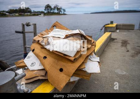 Recyceln von Pappe nach einem Angelausflug auf einem Boot in australien Stockfoto