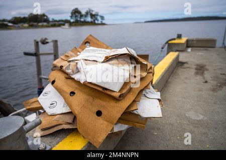 Recyceln von Pappe nach einem Angelausflug auf einem Boot in australien Stockfoto